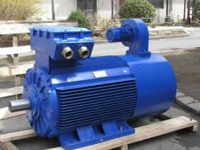 Electrical Motor and Gear Box/Speed Reducer